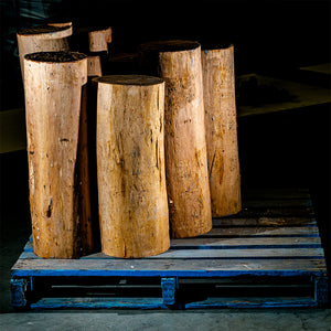 Red Gum Log Stands/Seats